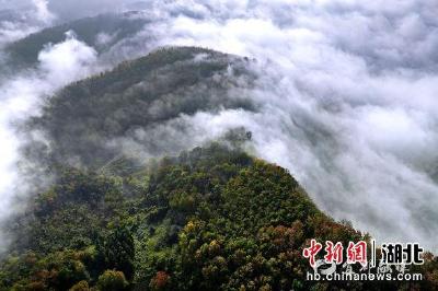 湖北宜都：平流雾弥漫映衬初冬景色