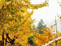 宜都秋景美如画