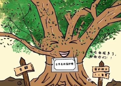 “林长+生态司法” 共护古树名木