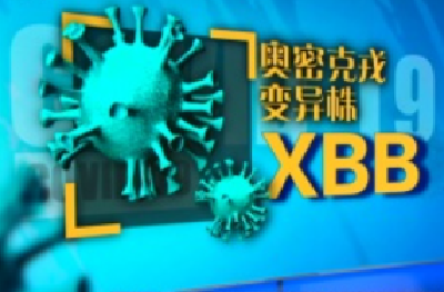 致病力如何？会否二次感染？如何预防？……张伯礼院士解读XBB毒株热点问题