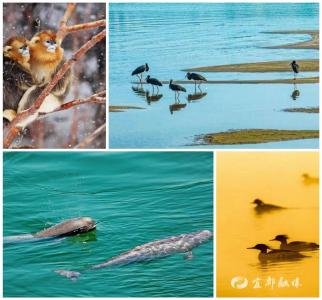 【湖北日报】湖北首部关于生物多样性协同保护的法规性决定颁布