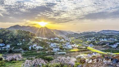 花开正好！周末，到架锅山赴一场春天的“花事”