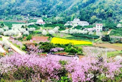 【长江云】宜昌宜都：路从花中走 人在画中游