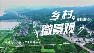 乡村微景观——高坝洲镇