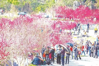 【三峡晚报】全面回暖，宜昌旅游“春”意更浓