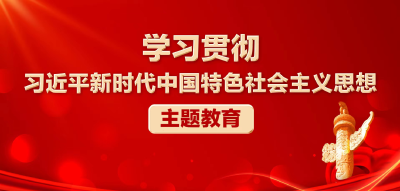 学习贯彻习近平新时代中国特色社会主义思想主题教育