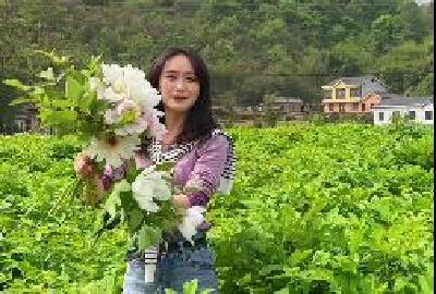 横冲村的“致富花”