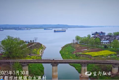 【新华网】湖北宜都：百年古渔村的绿色蝶变