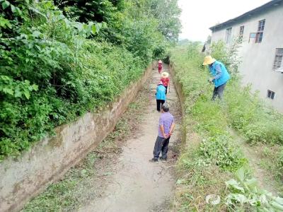 观音桥村：清沟渠确保“夏灌”通畅