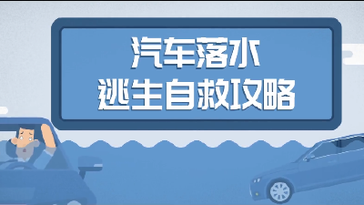 车辆落水怎么办？记住这些能救命→