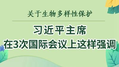 关于生物多样性保护，习近平主席在3次国际会议上这样强调