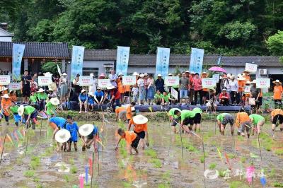 【湖北日报】“渔洋水岸”美 自在山水间