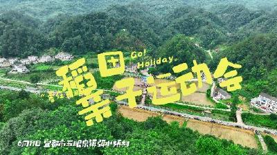 “爱在五眼泉”稻田亲子运动会