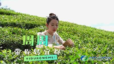 潘家湾土家族乡第八届“茶乡女儿会”将于7月8日举行