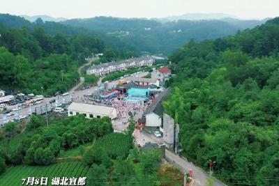 潘家湾土家族乡第八届茶乡女儿会成功举办