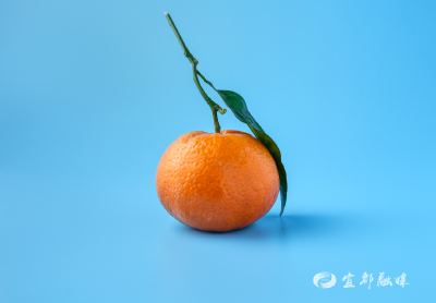 每天1个橘子，身体会有什么变化？橘子的白丝真的值得吃吗？