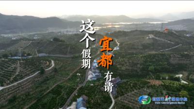 解锁宜都柑橘的n种吃法