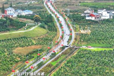 2023“荆楚和美乡村健康跑-相约宜都”活力开跑
