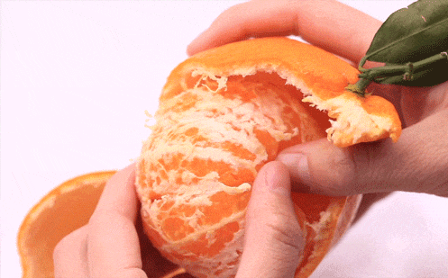 良橙橘日，“柑甜小镇”高坝洲喊你来吃蜜橘啦！