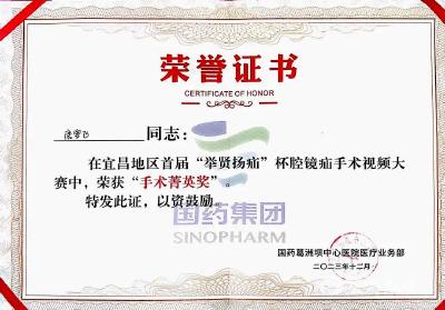 宜昌首届腔镜疝“手术菁英奖”！他们，实至名归！