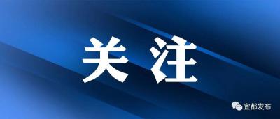 实名曝光！宜都市人民法院公布失信被执行人名单