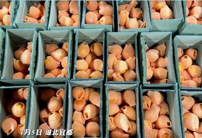 心系游子 邮寄乡情！宜都开展关爱外出务工人员公益活动