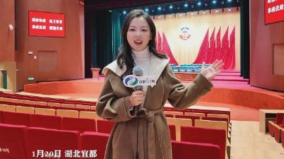 聚焦2024年宜都两会，政协委员今日报到