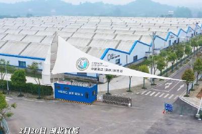 实干勇争先 奋进开门红！湖北清江鲟鱼谷特种渔业有限公司全力冲刺年产120吨总目标