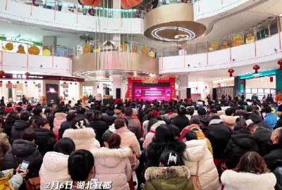 宜都市2024年“春风行动”暨“返乡回流”专场招聘会举行