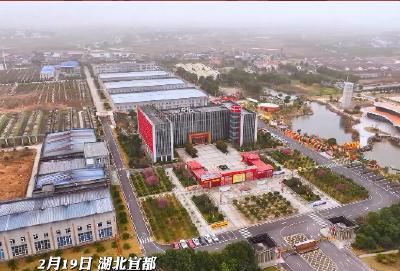 实干勇争先 奋进开门红！湖北土老憨生态农业集团1月份销售额突破5000万元