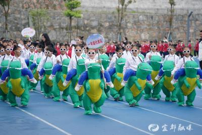 “美育之花”盛放春日校园