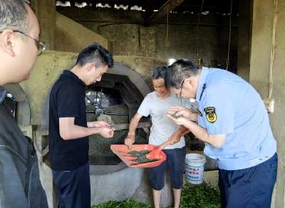 望闻问切，以“查”护“茶”