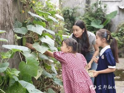 采撷初夏果，趣享收获乐