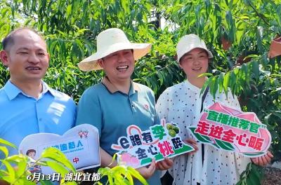 沉浸式助农带货直播走进宜都全心畈村