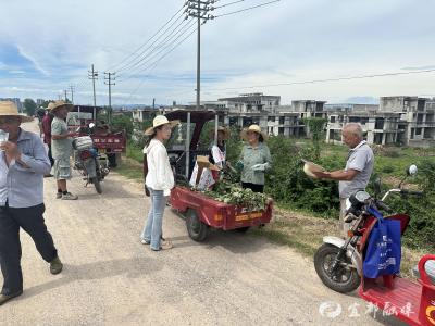 高温迎“烤”验 关爱一线送清凉