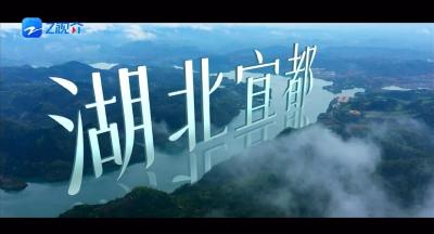 两江明珠 大美宜都！浙江卫视推介湖北宜都