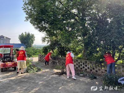 “暖心清洁日”，共建美丽家园