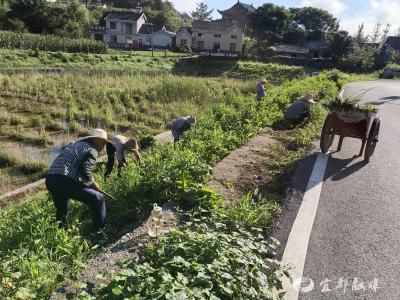 干群一心，共“美”乡村