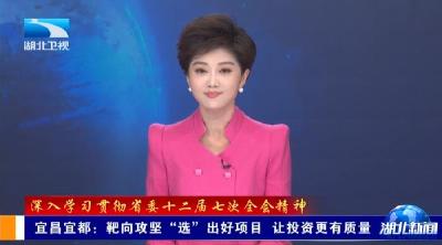 湖北卫视《湖北新闻》报道宜都：靶向攻坚“选”出好项目 让投资更有质量