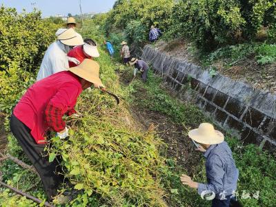 一条微信，聚齐了50多名村民……