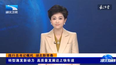 湖北卫视《湖北新闻》报道宜都：推动绿色低碳转型 厚植生态本底