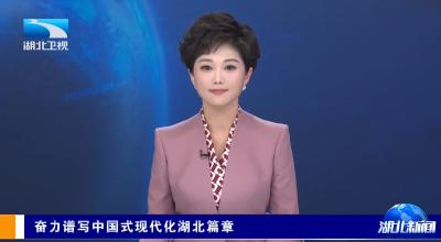 湖北卫视《湖北新闻》头条报道：宜都枝城港铁水联运码头繁忙景象