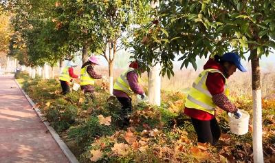 宜都12万株树木涂白换新装