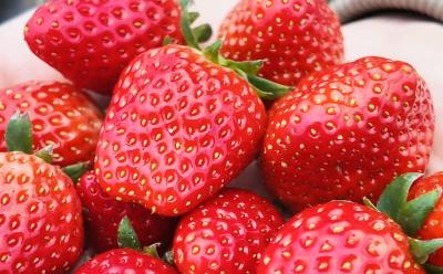 草莓甜蜜登场！开启冬日“莓”好时光
