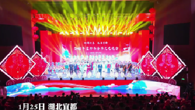 蛇舞迎春 福满宜都！2025年宜都市春节文艺晚会精彩上演