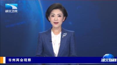 湖北卫视《湖北新闻》市州两会观察 | 宜昌：抬升发展标杆 构建“3+2”主导产业格局