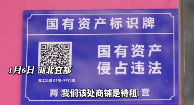 宜都726处国有经营性资产有了“身份证”