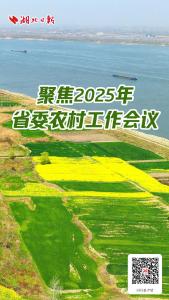 聚焦2025年湖北省委农村工作会议 