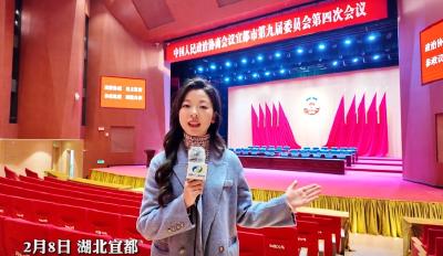 聚焦2025年宜都两会，政协委员今日报到