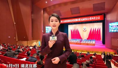 聚焦2025年宜都两会，政协宜都市第九届委员会第四次会议开幕